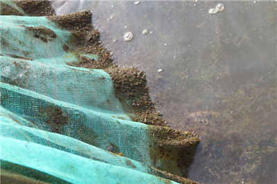 高壓清洗機(jī),進(jìn)口高壓清洗機(jī),高壓清洗機(jī)價(jià)格,超高壓清洗機(jī)