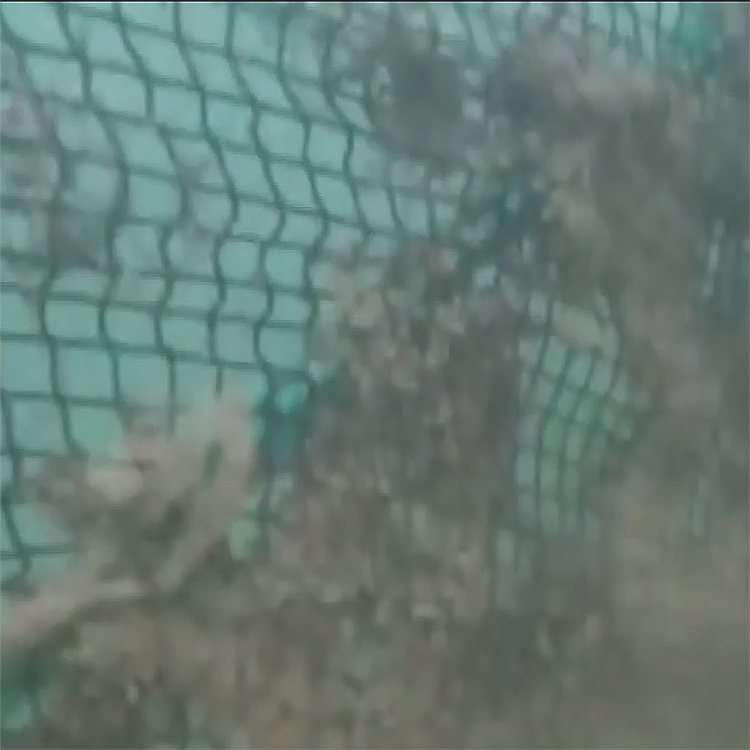 高壓清洗機(jī),進(jìn)口高壓清洗機(jī),高壓清洗機(jī)價(jià)格,超高壓清洗機(jī)