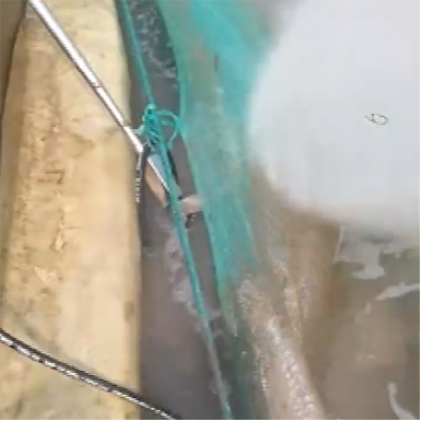 高壓清洗機(jī),進(jìn)口高壓清洗機(jī),高壓清洗機(jī)價(jià)格,超高壓清洗機(jī)