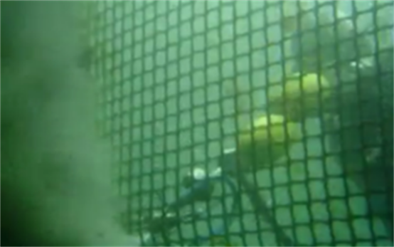 高壓清洗機(jī),進(jìn)口高壓清洗機(jī),高壓清洗機(jī)價格,超高壓清洗機(jī)