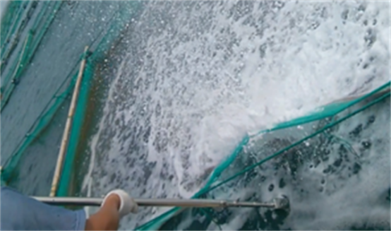 高壓清洗機(jī),進(jìn)口高壓清洗機(jī),高壓清洗機(jī)價格,超高壓清洗機(jī)