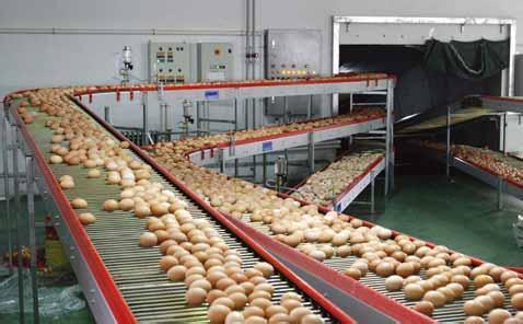 高壓清洗機,進口高壓清洗機,高壓清洗機價格,超高壓清洗機