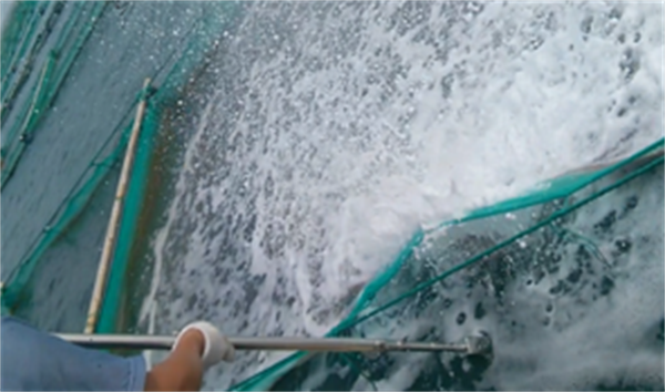 高壓清洗機(jī),進(jìn)口高壓清洗機(jī),高壓清洗機(jī)價(jià)格,超高壓清洗機(jī)