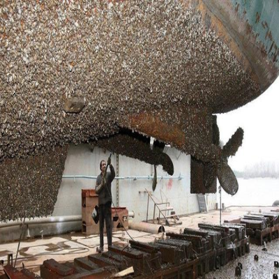 夏季海生物污染嚴(yán)重，如何快速清理